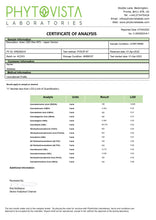 Load image into Gallery viewer, 249957770.webp