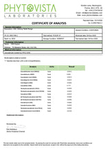 Load image into Gallery viewer, 249960987.webp