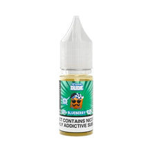 Load image into Gallery viewer, French Dude - Nic Salt - Blueberry