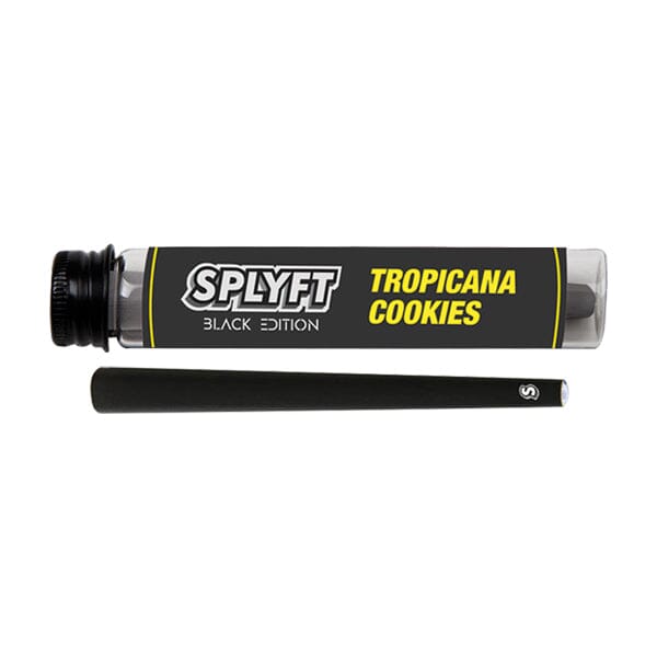 SPLYFT Black Edition Cannabis Terpene Infused Cones – Tropicana Cookies (BUY 1 GET 1 FREE) Smoking Products SPLYFT x15 