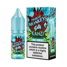 Load image into Gallery viewer, Twelve Monkeys: Ice Age - Nic Salt - Kanzi Iced
