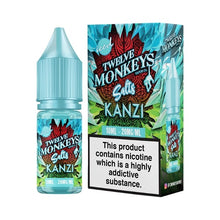 Load image into Gallery viewer, Twelve Monkeys: Ice Age - Nic Salt - Kanzi Iced
