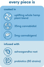 Load image into Gallery viewer, CBME Uplift 1050mg CBD Pineapple Fruit Pieces - 30 Pieces CBD Products CBME 
