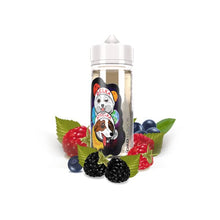 Load image into Gallery viewer, Nord Flavor DIY E-liquid (100 Bottle + 10ml Concentrate) Vaping Products Nord Flavor 
