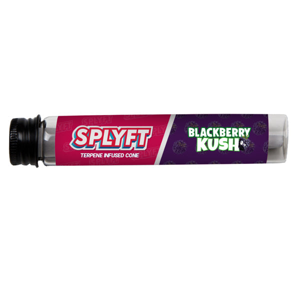 SPLYFT Cannabis Terpene Infused Rolling Cones – Blackberry Kush (BUY 1 GET 1 FREE) Smoking Products SPLYFT x1 