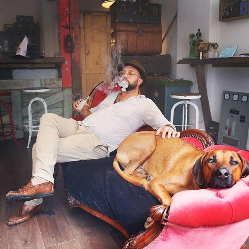 The Dogs of Vape Emporium